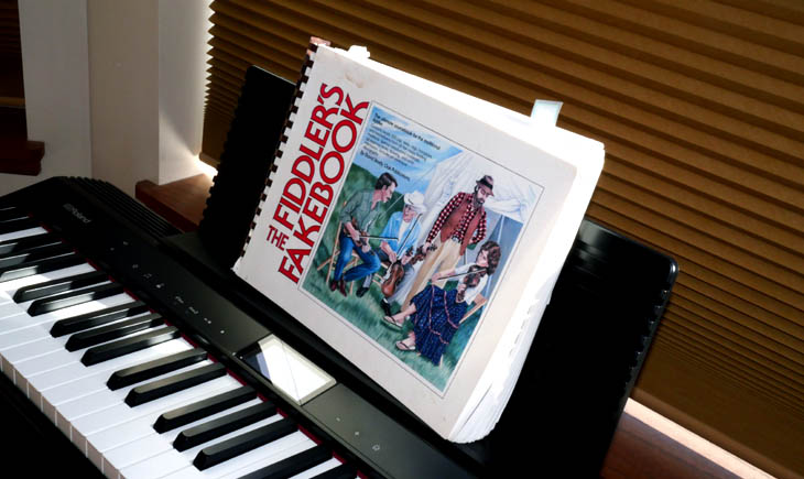 Fiddlers Fakebook on Roland GO:PIANO