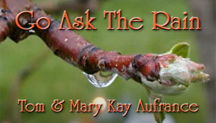 Image for Go Ask The Rain song by Mary Kay Aufrance